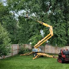 Seasonal Cleanup (Spring/Fall) in Madisonville, KY