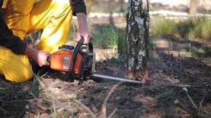 Best Commercial Tree Services  in Madisonville, KY